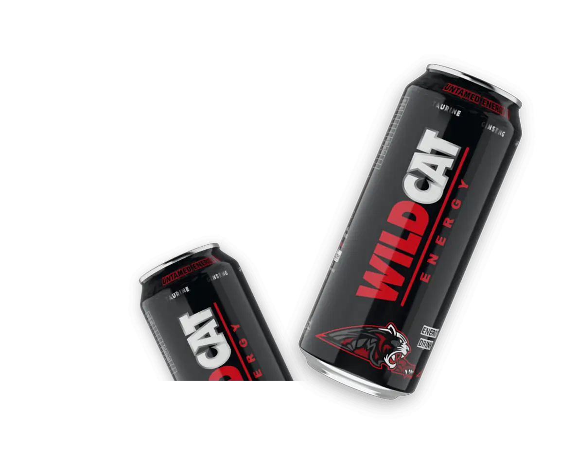 Wildcat Energy